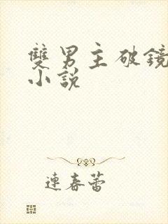 双男主破镜重圆小说