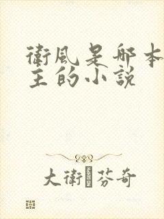 卫风是哪本双男主的小说