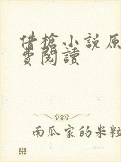 借枪小说原著免费阅读