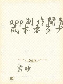 app制作开发成本要多少钱