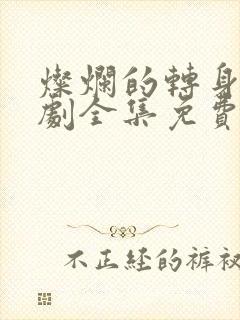 灿烂的转身电视剧全集免费