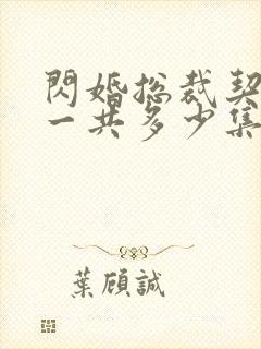 闪婚总裁契约妻一共多少集