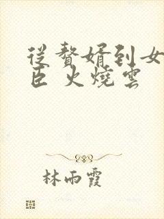 从赘婿到女帝宠臣 火烧云