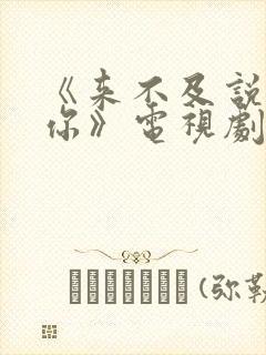 《来不及说我爱你》电视剧免费观看