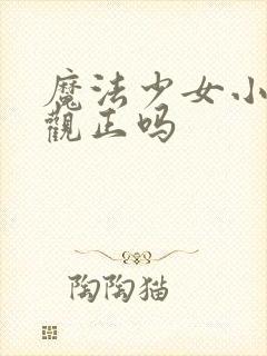 魔法少女小圆三观正吗