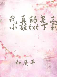 我真的是正派 小说txt下载