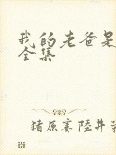 我的老爸是保安全集