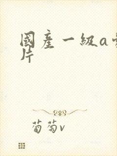 国产一级a爱做片