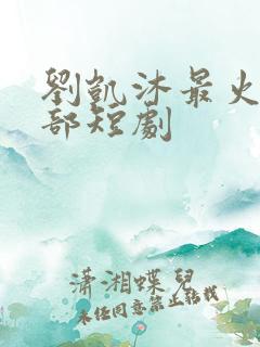 刘凯沐最火的十部短剧