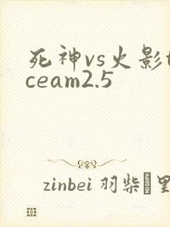 死神vs火影tceam2.5