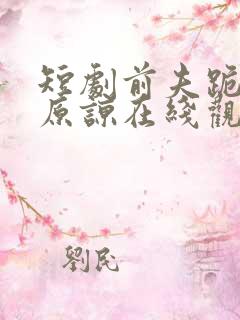 短剧前夫跪求我原谅在线观看