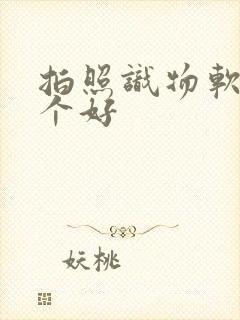 拍照识物软件哪个好