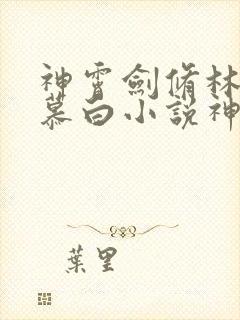 神霄剑修林枫苏慕白小说神霄