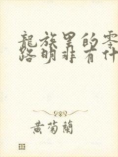 龙族里的零号和路明非有什么关系?