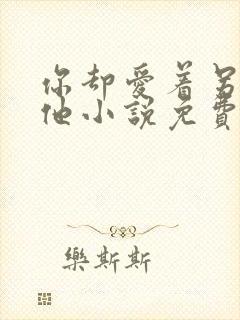 你却爱着另一个他小说免费看