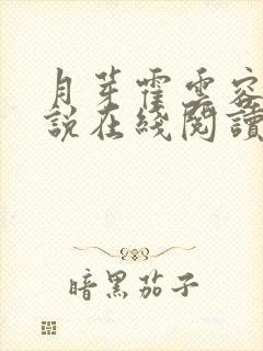 月芽霍云容的小说在线阅读