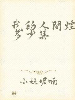 我的人间烟火有多少集