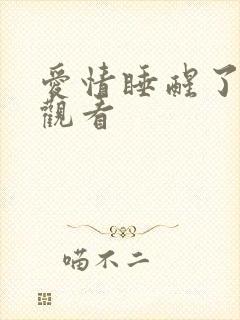 爱情睡醒了全集观看