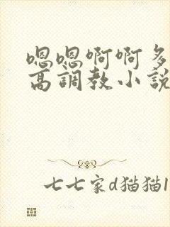 嗯嗯啊啊多人h高调教小说