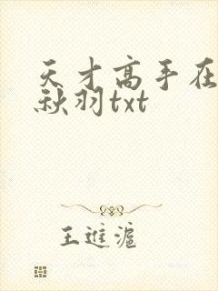 天才高手在都市秋羽txt