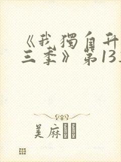 《我独自升级第三季》第13集全集在线