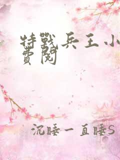 特战兵王小说免费阅