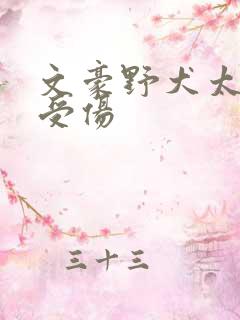 文豪野犬太宰治受伤