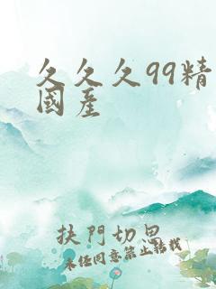 久久久99精品国产