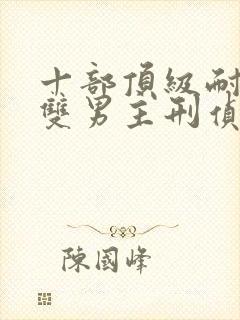 十部顶级耐看的双男主刑侦小说