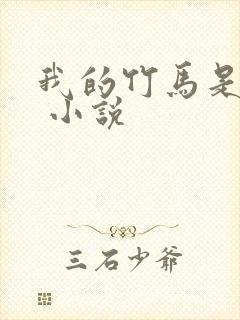 我的竹马是渣攻 小说