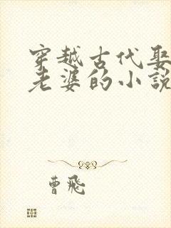 穿越古代娶三个老婆的小说