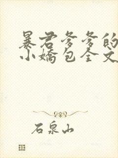 暴君爹爹的团宠小娇包全文