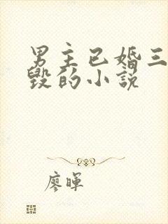 男主已婚三观尽毁的小说