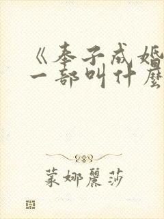 《奉子成婚》上一部叫什么