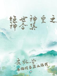 绝世神皇之第一神合集