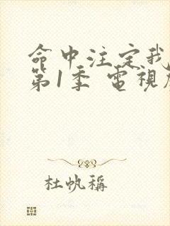 命中注定我爱你第1季 电视剧