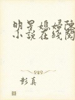 明星媳妇陈法蓉小说在线阅读