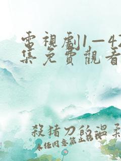 电视剧1—42集免费观看