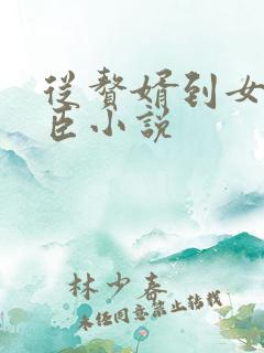 从赘婿到女帝宠臣小说