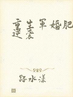 重生军婚肥妻的逆袭