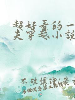 超好看的一女多夫穿越小说