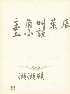 主角叫叶辰的兵王小说