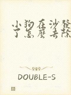 小狗在沙发上尿了怎么去除异味