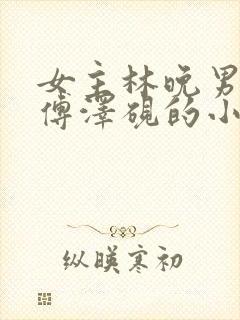 女主林晚男主叫傅泽砚的小说