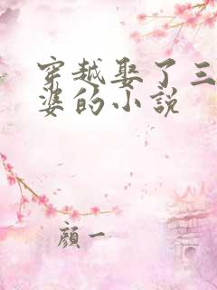 穿越娶了三个老婆的小说