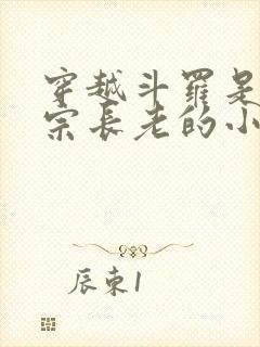 穿越斗罗是剑剑宗长老的小说