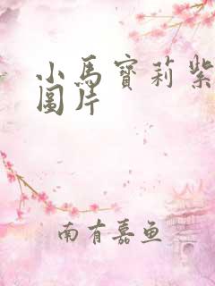 小马宝莉紫悦的图片