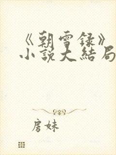 《朝雪录》原著小说大结局