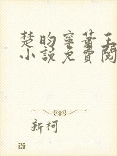 楚昀宁萧王穿越小说免费阅读