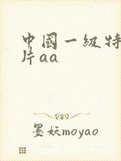 中国一级特黄大片aa